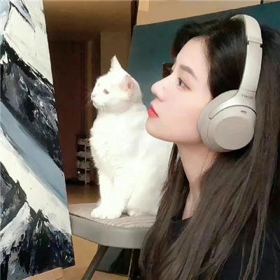 银簪子